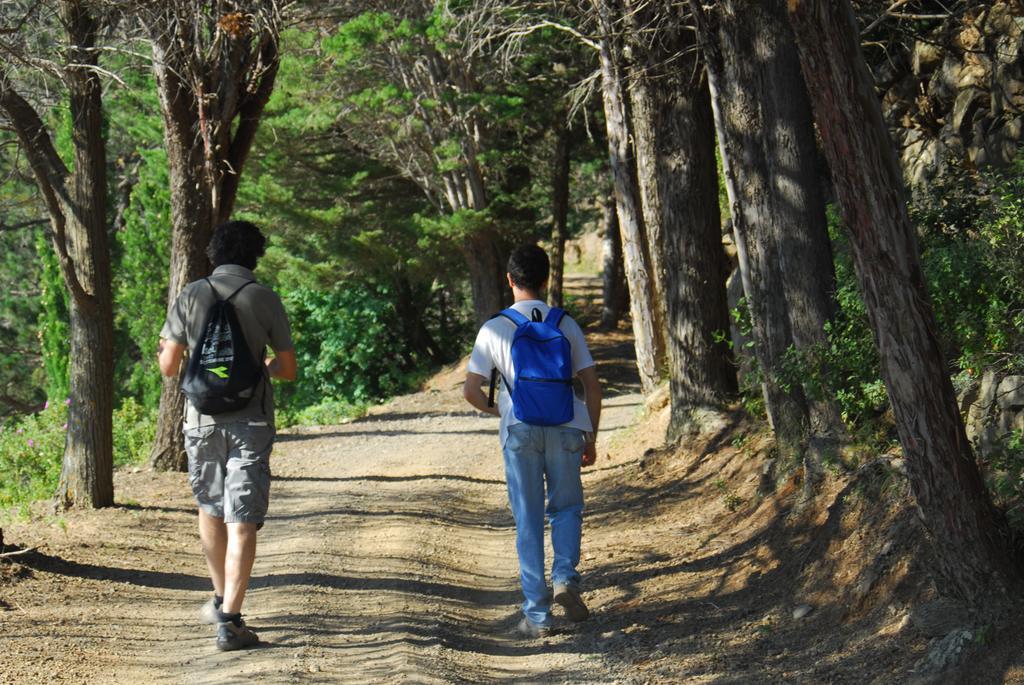 Eoliano B&B Malfa  Εξωτερικό φωτογραφία