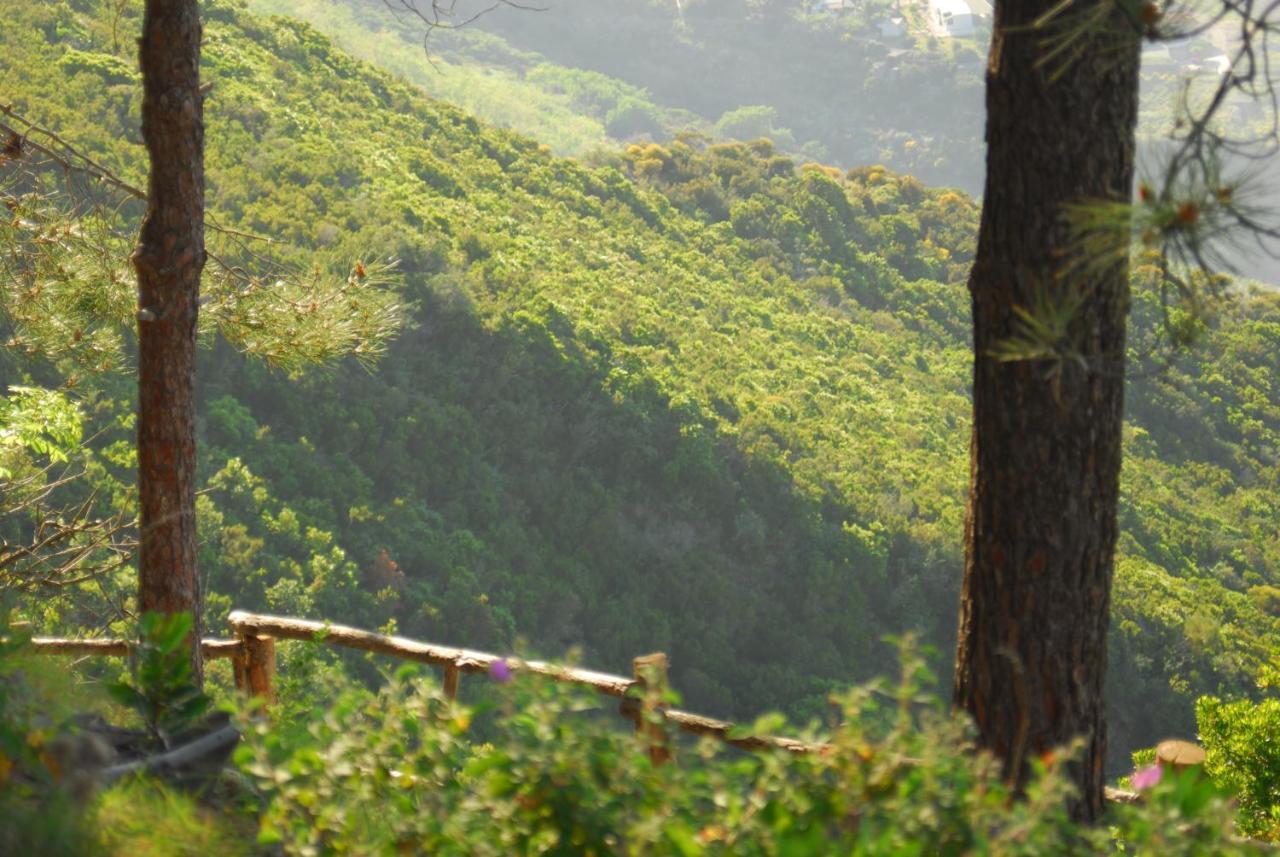 Eoliano B&B Malfa  Εξωτερικό φωτογραφία